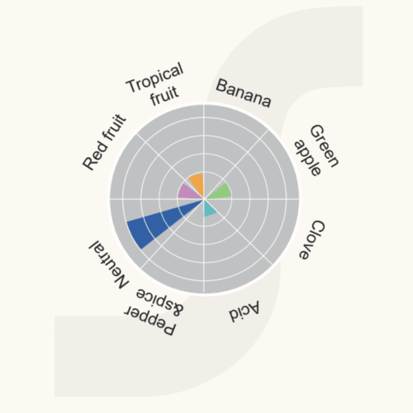 Levadura para cerveza Angel Yeast