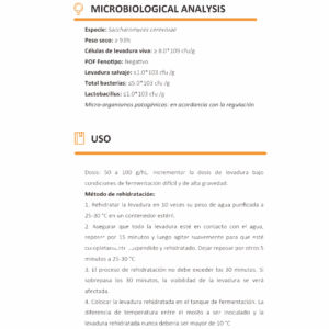 Levadura para cerveza Angel Yeast