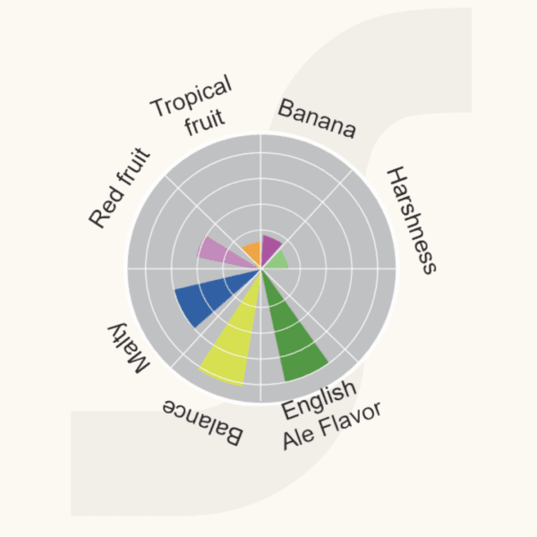 levadura para cerveza