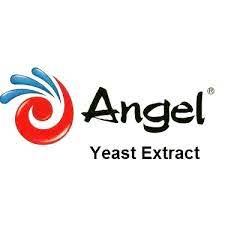Angel Yeast Levaduras en Chile